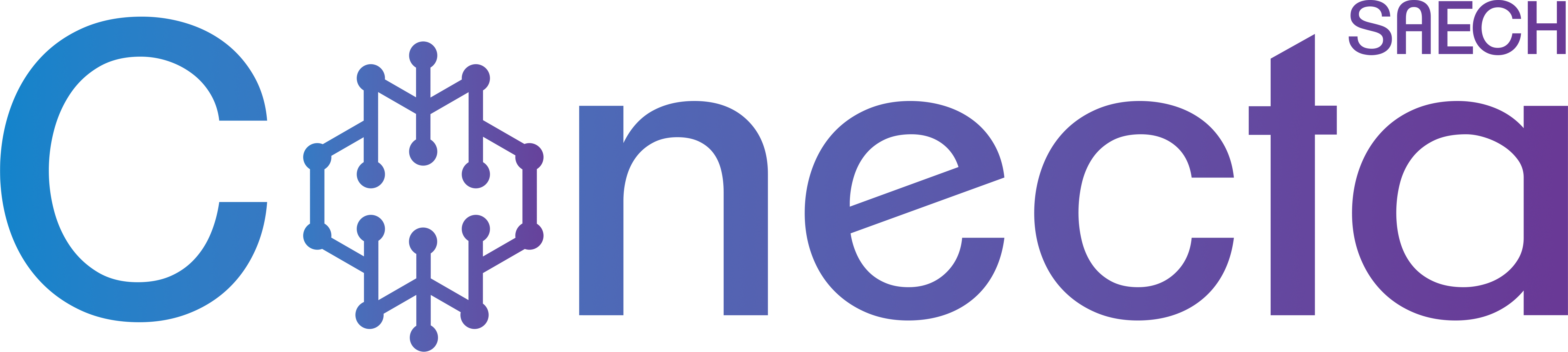 Conecta SAECH